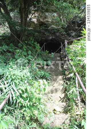 権現山 134539855