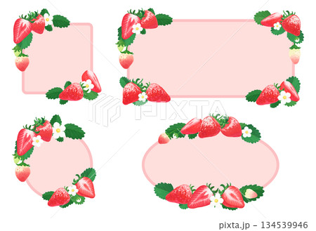 苺_リアル寄り手描き_ワンポイント丸・四角フレームセット 134539946