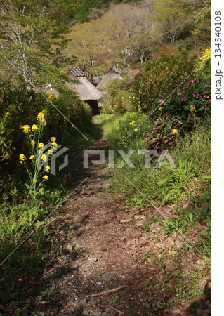 高知県梼原町 太郎川公園内にある坂本龍馬脱藩の道 高知県梼原町 太郎川公園内にある坂本龍馬脱藩の道 134540108