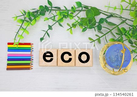 エコのイメージ ecoと書かれたブロック エコのイメージ ecoと書かれたブロック 134540261