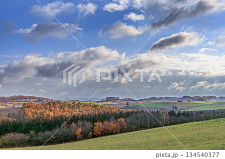 実りの季節を迎えた美瑛の丘陵と広がる田園風景 134540377