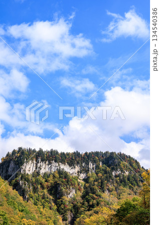 層雲峡の断崖を彩る秋の紅葉と青空｜阿寒摩周国立公園 134540386