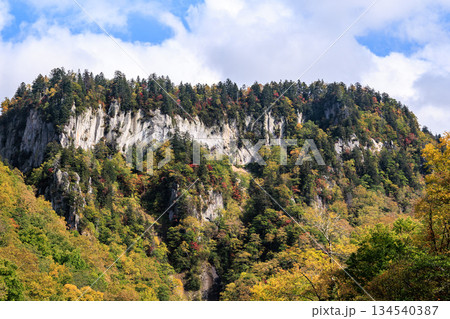 阿寒摩周国立公園・層雲峡 迫力ある断崖と紅葉風景 阿寒摩周国立公園・層雲峡 迫力ある断崖と紅葉風景 134540387