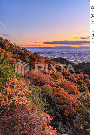 二上山から望む奈良盆地の夜明けと紅葉の山並み 134540400