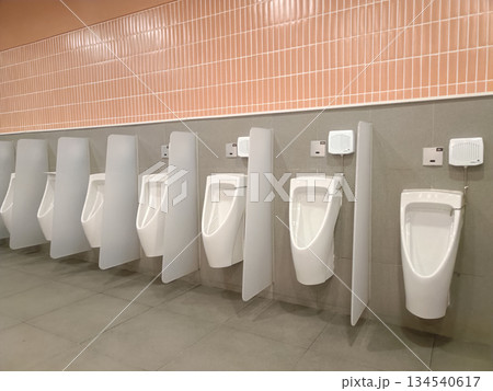 Public restroom urinal restroom interior toilet sanitary hygiene privacy modern ceramic tile public restroom urinal restroom Public restroom urinal restroom interior toilet sanitary hygiene privacy modern ceramic tile public restroom urinal restroom 134540617