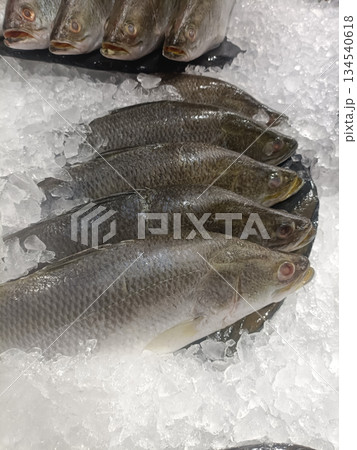 Fresh fish ice seafood market display raw fish chilled food Fresh fish ice seafood market display raw fish chilled food 134540618