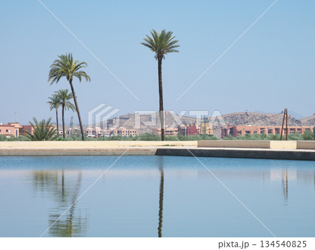 モロッコ マラケシュ メナラ庭園 貯水池 5月 モロッコ マラケシュ メナラ庭園 貯水池 5月 134540825