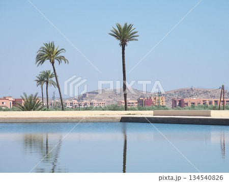 モロッコ　マラケシュ　メナラ庭園　貯水池　5月 134540826