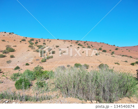 モロッコ　電車の窓からの景色　マラケシューカサブランカ間　5月の朝 134540874