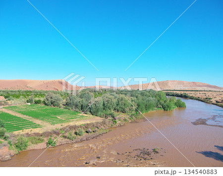 モロッコ　電車の窓からの景色　マラケシューカサブランカ間　5月の朝 134540883