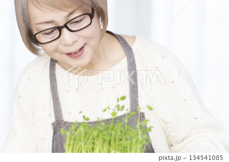 キッチンで豆苗を育てるシニア女性 キッチンで豆苗を育てるシニア女性 134541085
