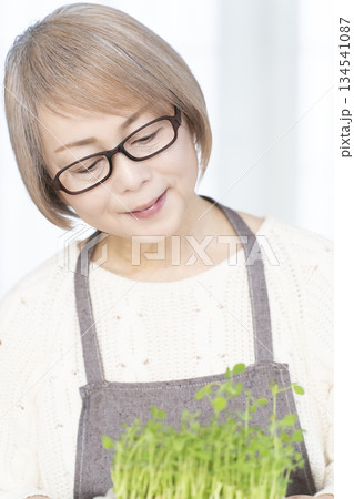 キッチンで豆苗を育てるシニア女性 キッチンで豆苗を育てるシニア女性 134541087