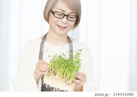 キッチンで豆苗を育てるシニア女性 キッチンで豆苗を育てるシニア女性 134541090