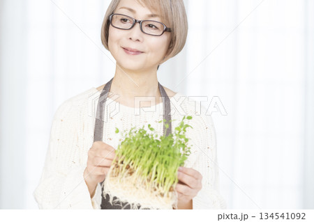 キッチンで豆苗を育てるシニア女性 134541092