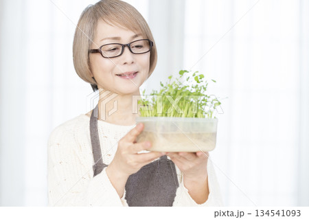 キッチンで豆苗を育てるシニア女性 キッチンで豆苗を育てるシニア女性 134541093