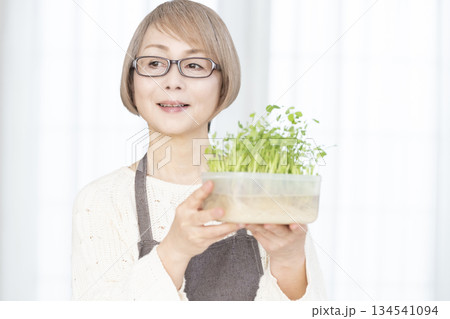 キッチンで豆苗を育てるシニア女性 134541094