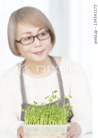 キッチンで豆苗を育てるシニア女性 アウトフォーカス キッチンで豆苗を育てるシニア女性 アウトフォーカス 134541173