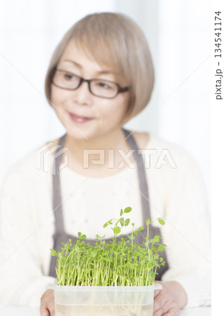 キッチンで豆苗を育てるシニア女性 アウトフォーカス キッチンで豆苗を育てるシニア女性 アウトフォーカス 134541174