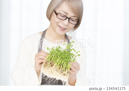 キッチンで豆苗を育てるシニア女性 アウトフォーカス キッチンで豆苗を育てるシニア女性 アウトフォーカス 134541175