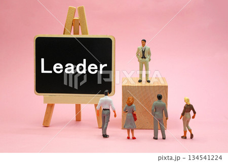 男性のリーダーのイメージ 134541224