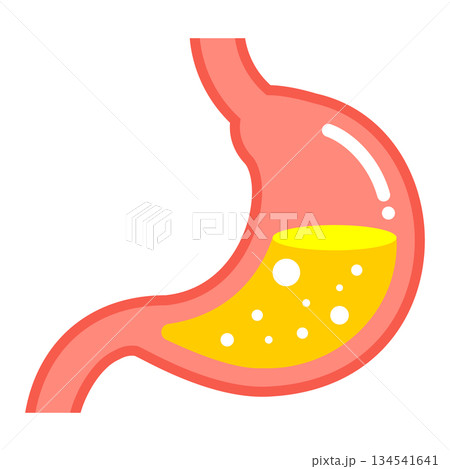 シンプルな胃袋のイラスト 臓器 ヘルスケア ベクター 134541641