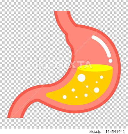 シンプルな胃袋のイラスト 臓器 ヘルスケア ベクター 134541641