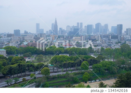 ホテルニューオータニから見た迎賓館赤坂離宮 134542016