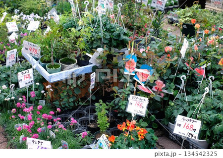 花屋さんの店頭 134542325