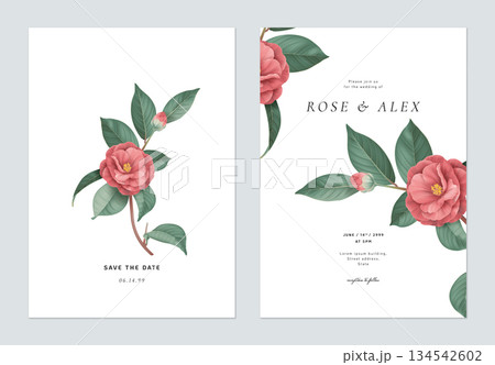 Floral wedding invitation card template design, red Semi-double Camellia flowers with leaves on white 134542602