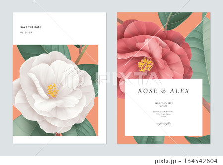 Floral wedding invitation card template design, white and red Semi-double Camellia flowers with leaves on bright red 134542604