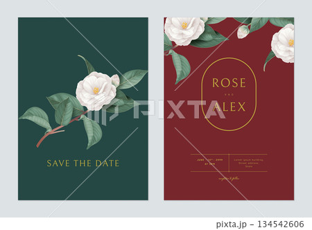 Floral wedding invitation card template design, white Semi-double Camellia flowers with leaves on green and red 134542606