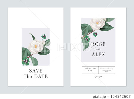 Floral wedding invitation card template design, white Semi-double Camellia flowers with leaves on bright grey 134542607