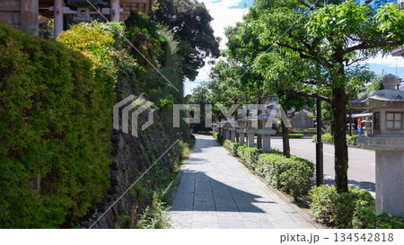 石灯篭の並ぶ歩道(石川県_加賀市_山代温泉_薬王院温泉寺) 石灯篭の並ぶ歩道(石川県_加賀市_山代温泉_薬王院温泉寺) 134542818
