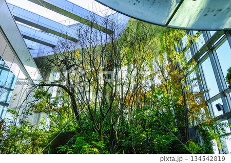 東京都港区　高輪ゲートウェイシティ 　ニュウマン高輪　28階　展望スペース　翠の庭（みどりのにわ） 134542819