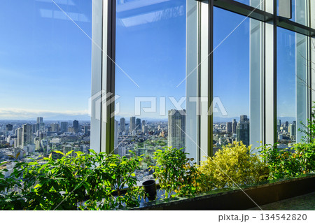 東京都港区　高輪ゲートウェイシティ 　ニュウマン高輪　28階　展望スペース（みどりのにわ）　翠の庭 134542820