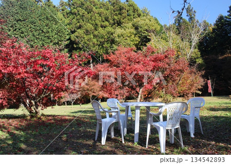 もみじ園 もみじ園 134542893