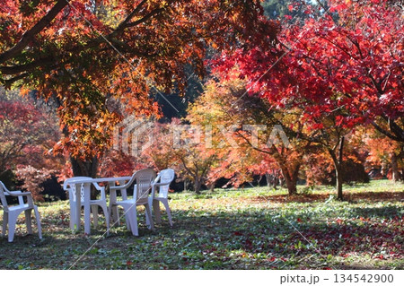 もみじ園 134542900