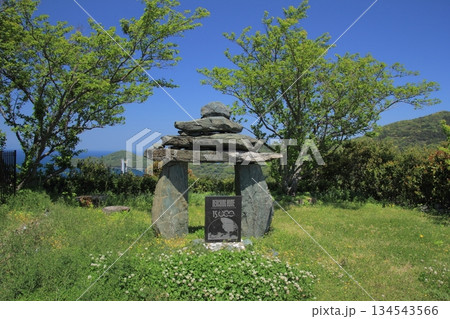 愛媛県 佐田岬ミュージアム内の風景 愛媛県 佐田岬ミュージアム内の風景 134543566