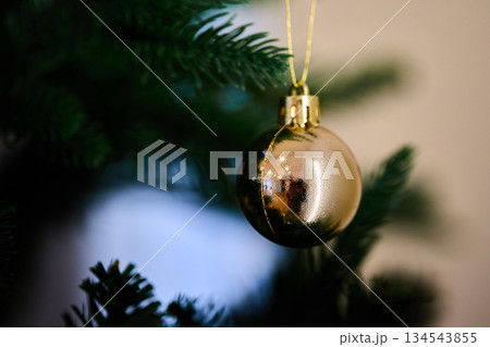 Golden ball decoration hangs on a green Christmas tree branch. 134543855