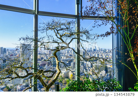 東京都港区　高輪ゲートウェイシティ 　ニュウマン高輪　28階　展望スペース　翠の庭（みどりのにわ） 134543879