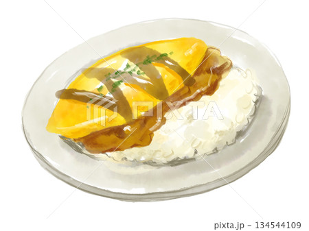 ふわっとしたオムレツの乗った美味しそうなオムカレーの手描き水彩イラスト ふわっとしたオムレツの乗った美味しそうなオムカレーの手描き水彩イラスト 134544109