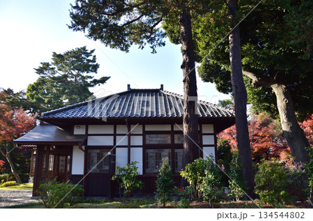 荻窪・荻外荘(旧近衞文麿邸)の紅葉 荻窪・荻外荘(旧近衞文麿邸)の紅葉 134544802