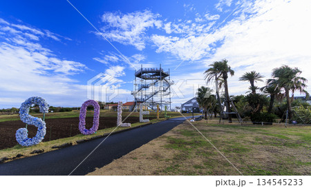 ソレイユの丘の冬 134545233