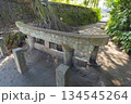 桜島の黒神埋没鳥居 134545264
