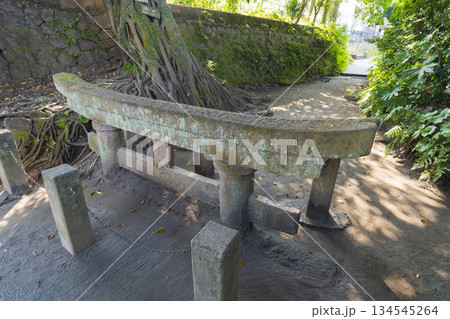 桜島の黒神埋没鳥居 134545264