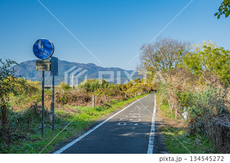 桂川河川敷の遊歩道　京都市 134545272