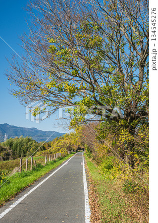 桂川河川敷の遊歩道 京都市 桂川河川敷の遊歩道 京都市 134545276
