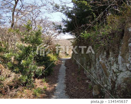 和歌山県友ヶ島の戦跡と旧日本軍要の塞跡 和歌山県友ヶ島の戦跡と旧日本軍要の塞跡 134545637