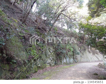 和歌山県友ヶ島の戦跡と旧日本軍要の塞跡 和歌山県友ヶ島の戦跡と旧日本軍要の塞跡 134545651