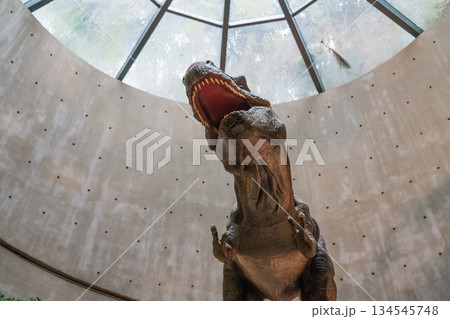 Jurassic Nest FoodHall Jurassic Nest FoodHall 134545748